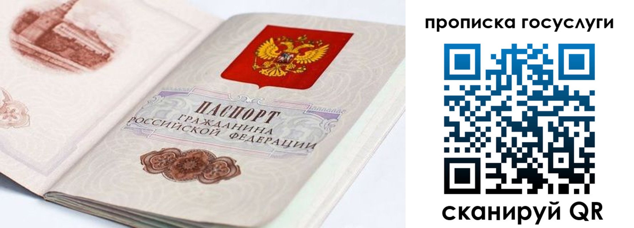 прописка гарантия в Губахе